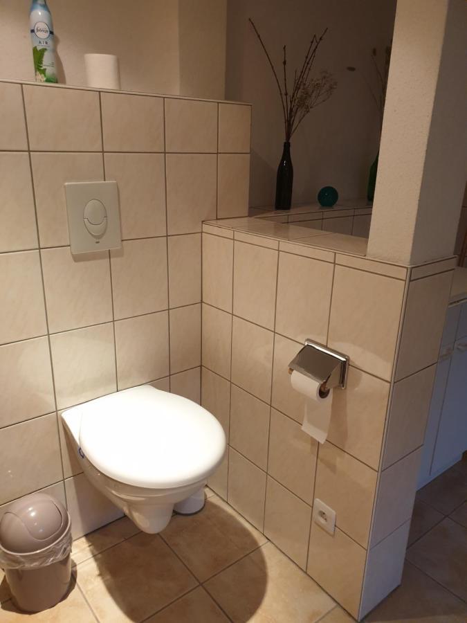 Appartement Proche D'Europa Park/Marches De Noel Rhinau Esterno foto