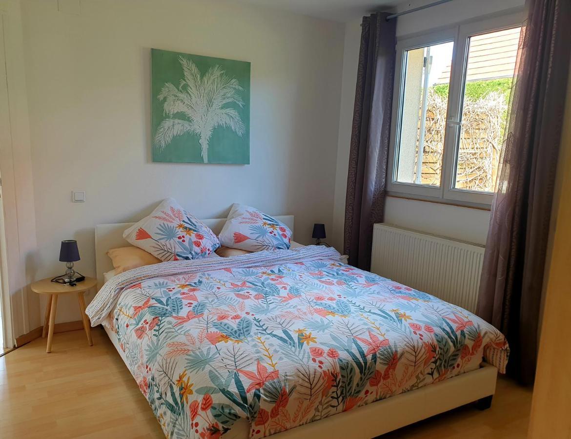 Appartement Proche D'Europa Park/Marches De Noel Rhinau Esterno foto